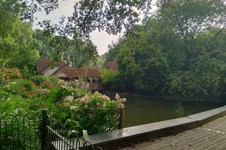 прогулка по парку